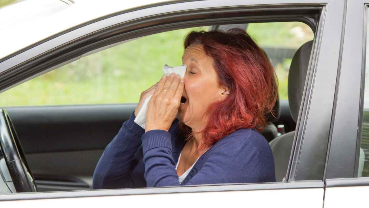 Allergia auto, come guidare senza rischi - fonte depositphotos.com - giornalemotori.it