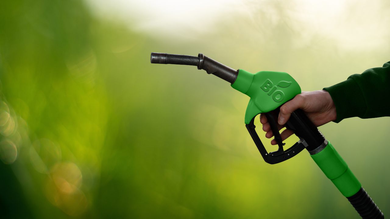 Biocarburante in Italia, ecco dove puoi trovarlo - fonte stock.adobe - giornalemotori.it
