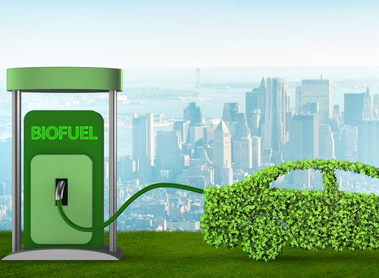 Biocarburante, l'alternativa per il futuro - fonte depositphotos.com - giornalemotori.it