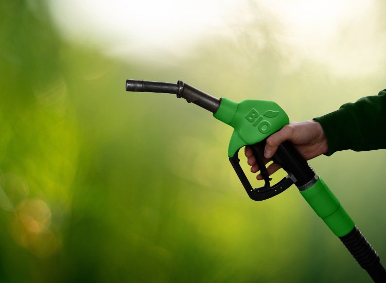 Biocarburante, quali sono i vantaggi e gli svantaggi - fonte stock.adobe - giornalemotori.it