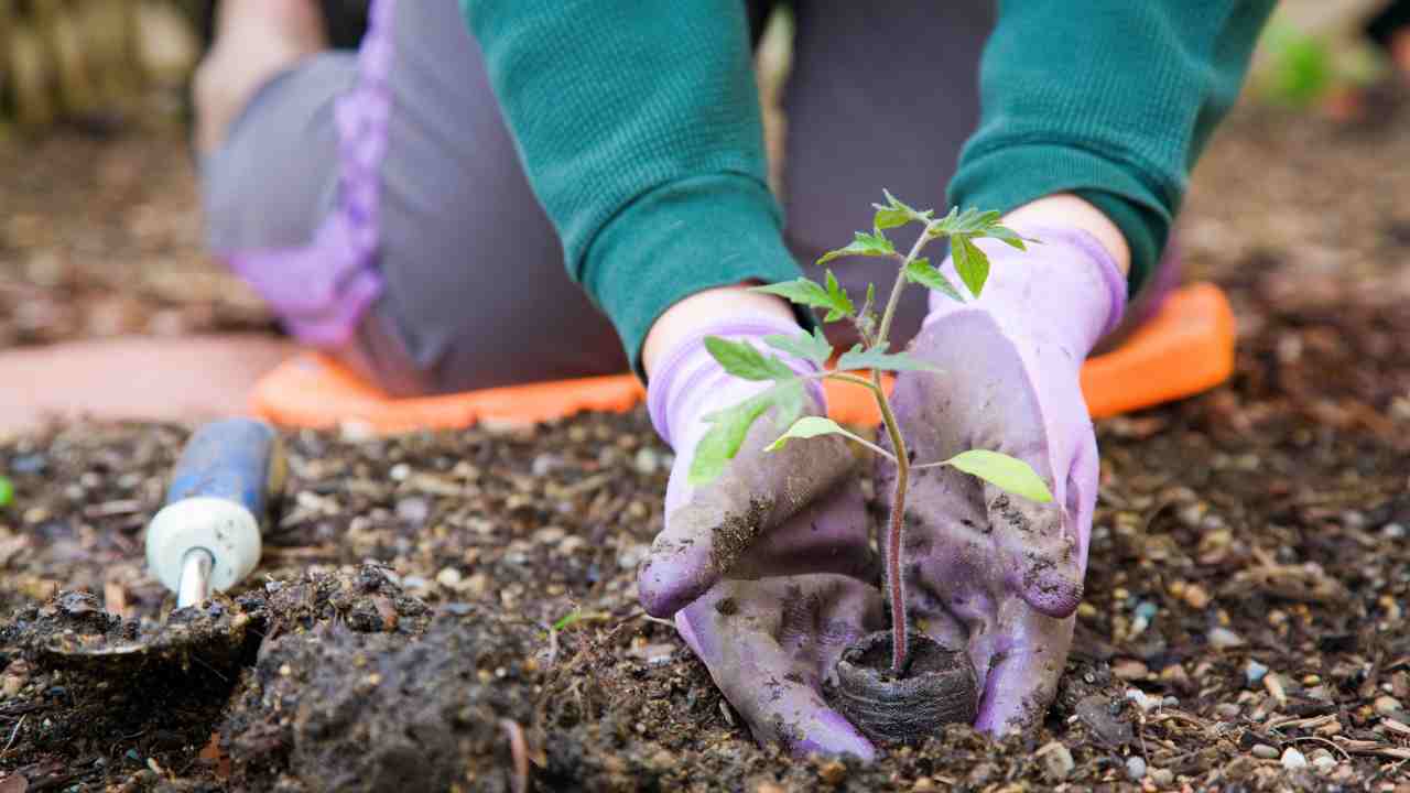 Cos'è l'opzione gardening leave e chi riguarda - fonte depositphotos.com - giornalemotori.it